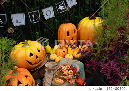 ハロウイン 132480502
