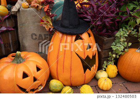 ハロウイン ハロウイン 132480503