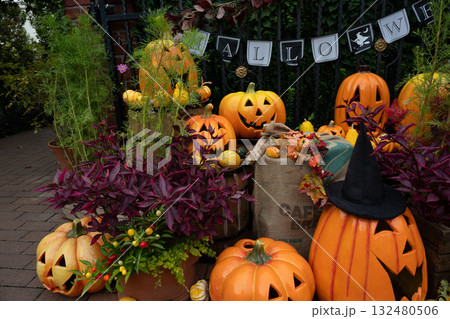 ハロウイン ハロウイン 132480506