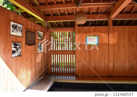 日光市川治温泉　川治ふれあい公園のかわじいの湯と新緑 132480557