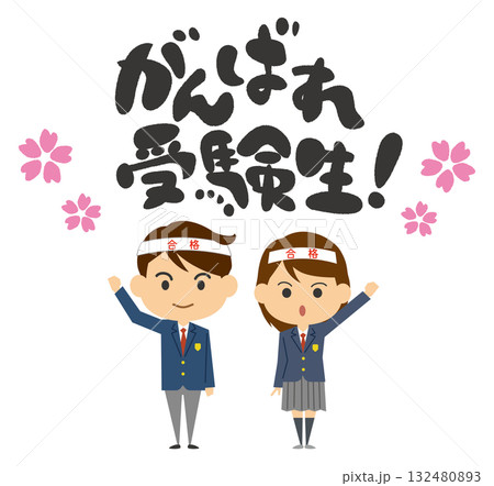 受験生を応援するイメージイラスト 受験生を応援するイメージイラスト 132480893