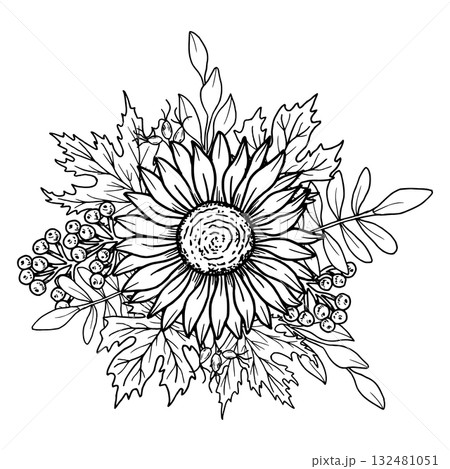 Sunflower flower with rose hips, rowan berries and maple leaves. Vector illustration of a botanical composition. Hand drawn black graphics. Line art for coloring books, botanical designs, packaging. Sunflower flower with rose hips, rowan berries and maple leaves. Vector illustration of a botanical composition. Hand drawn black graphics. Line art for coloring books, botanical designs, packaging. 132481051
