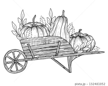 Wooden cart with pumpkins and leaves. Hand drawn vector graphics. Simple black graphic of a rustic vegetable cart. Sketch style outline illustration for Thanksgiving, harvest and autumn design. 132481052