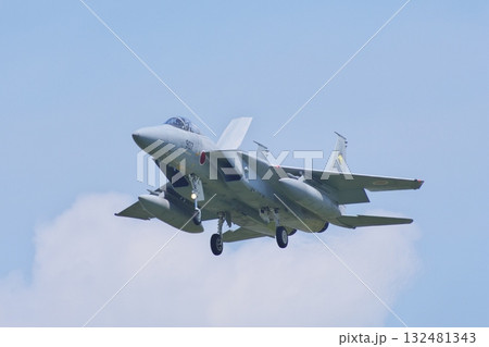 着陸態勢の第306飛行隊のF-15J 132481343