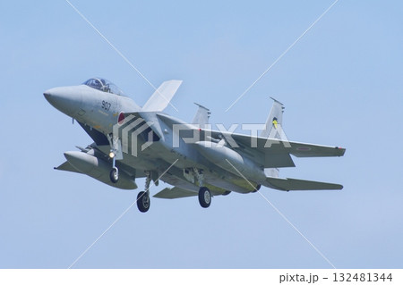 着陸態勢の第306飛行隊のF-15J 着陸態勢の第306飛行隊のF-15J 132481344