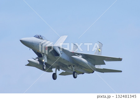 着陸態勢の第306飛行隊のF-15J 着陸態勢の第306飛行隊のF-15J 132481345