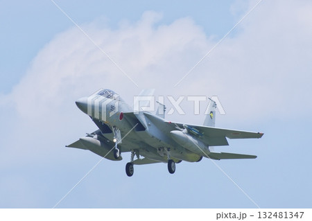 着陸態勢の第306飛行隊のF-15J 132481347