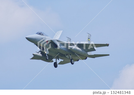 着陸態勢の第306飛行隊のF-15J 着陸態勢の第306飛行隊のF-15J 132481348