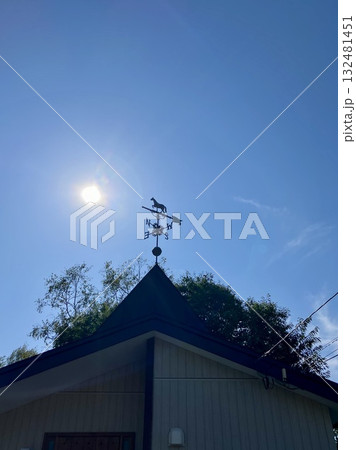 風見馬 風見馬 132481451