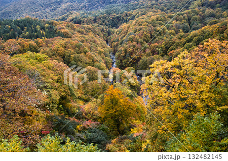 八甲田　城ヶ倉大橋からの雄大で美しい紅葉　青森県青森市 132482145