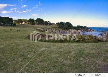 種差海岸　種差天然芝生地　青森県八戸市 132482402