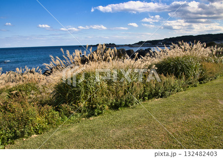 種差海岸 種差天然芝生地 青森県八戸市 種差海岸 種差天然芝生地 青森県八戸市 132482403
