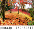 世界遺産・宮島、紅葉したモミジの絨毯ような風景 132482815