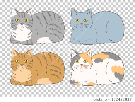 箱座りする猫のセット（サバトラ・ブルー・キジトラ・三毛） 132482937