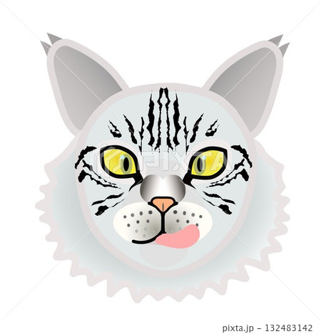 サイベリアン猫の顔 サイベリアン猫の顔 132483142