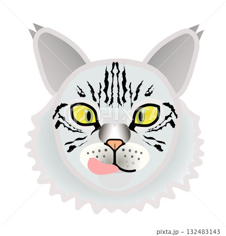 サイベリアン猫の顔 132483143