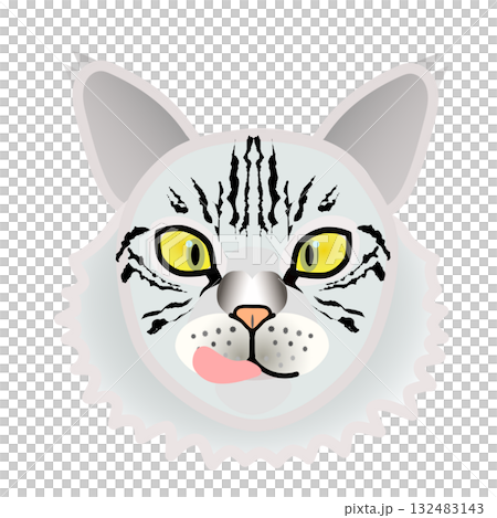 Siberian cat face Siberian cat face 132483143