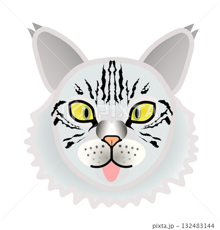 サイベリアン猫の顔 サイベリアン猫の顔 132483144