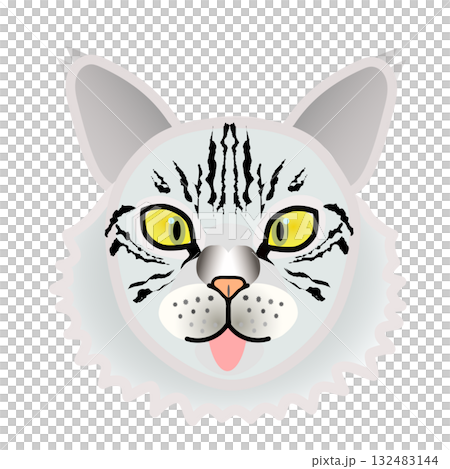 サイベリアン猫の顔 サイベリアン猫の顔 132483144