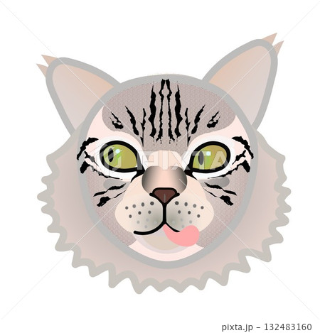 サイベリアン猫の顔 132483160