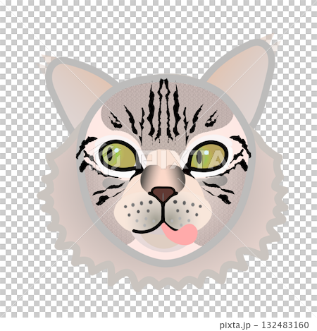 Siberian cat face 132483160