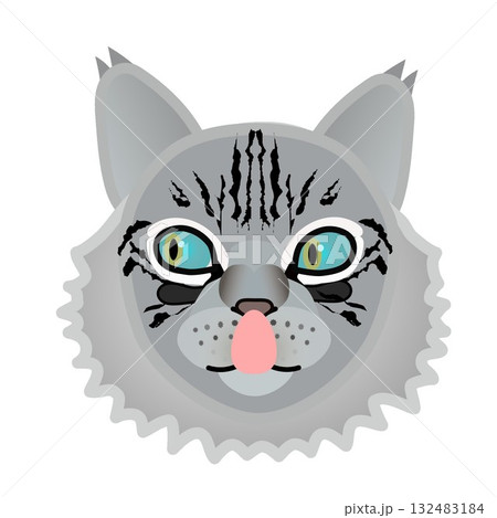 サイベリアン猫の顔 132483184