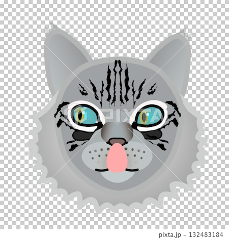 Siberian cat face Siberian cat face 132483184