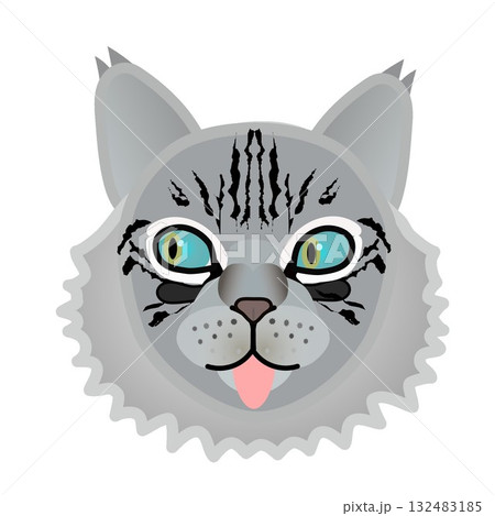 サイベリアン猫の顔 サイベリアン猫の顔 132483185