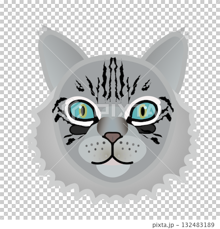 Siberian cat face 132483189