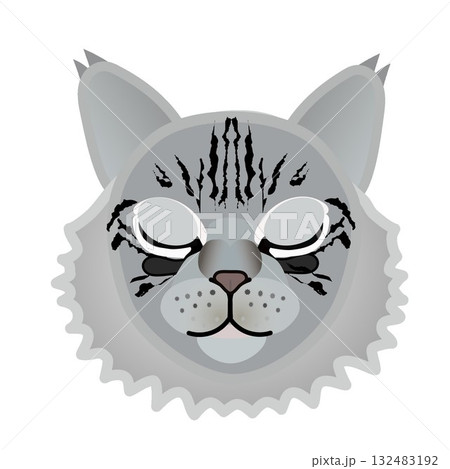 サイベリアン猫の顔 132483192