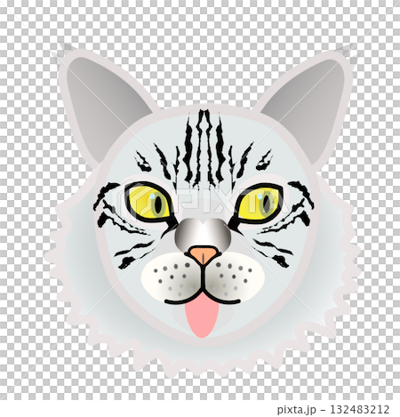 Siberian cat face Siberian cat face 132483212