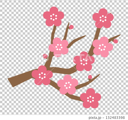 Cute plum blossom vector illustration 132483398