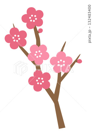 かわいい梅の花のベクターイラスト 132483400