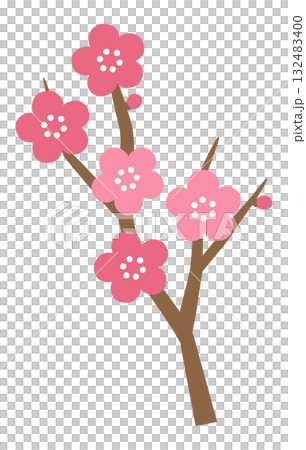 かわいい梅の花のベクターイラスト 132483400