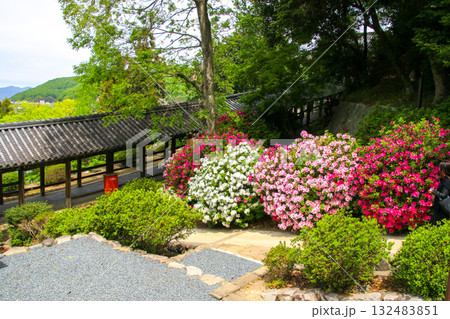 吉備津神社 132483851