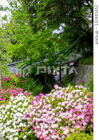 吉備津神社 132483852