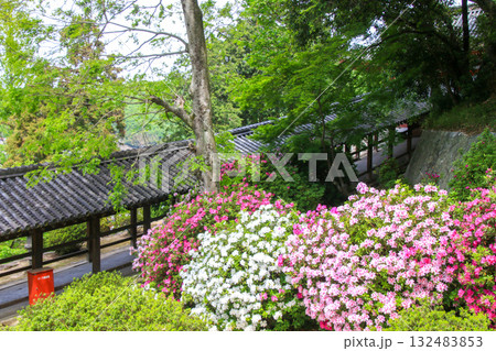 吉備津神社 132483853