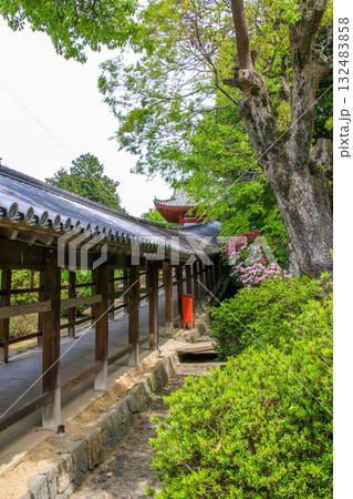 吉備津神社 132483858