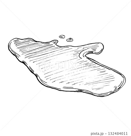 Puddle. A realistic coffee-themed vector illustration for menu design, coffee shop interiors, signs, interior paintings, and poster printing. Puddle. A realistic coffee-themed vector illustration for menu design, coffee shop interiors, signs, interior paintings, and poster printing. 132484011