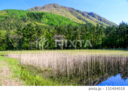 三瓶山 三瓶山 132484018