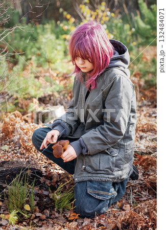 Teenager finding mushrooms in autumn forest outdoors Teenager finding mushrooms in autumn forest outdoors 132484071