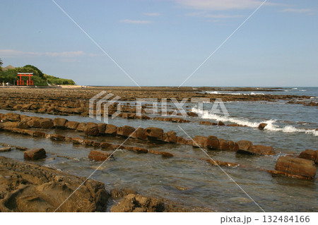 宮崎・青島海岸（鬼の洗濯板） 132484166