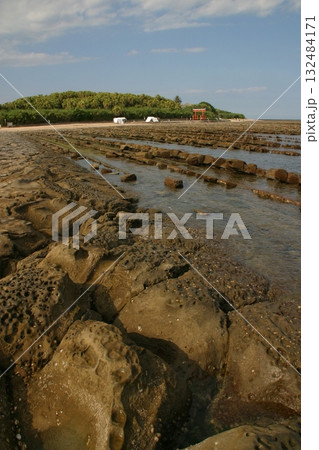 宮崎・青島海岸（鬼の洗濯板） 132484171