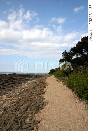 宮崎・青島海岸（鬼の洗濯板） 132484187