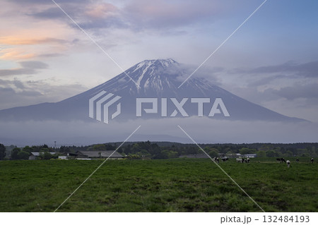 朝霧高原の牧場と夕焼け 朝霧高原の牧場と夕焼け 132484193
