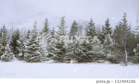 Winter scene with snowfall descending upon a snowy field and covering the ground and trees. Seasonal design or holiday themes for winter 132484286