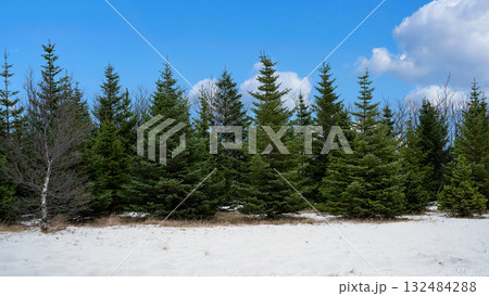 Winter scenery of fresh snowy field with evergreen trees with blue sky background. Seasonal design or holiday themes for winter Winter scenery of fresh snowy field with evergreen trees with blue sky background. Seasonal design or holiday themes for winter 132484288