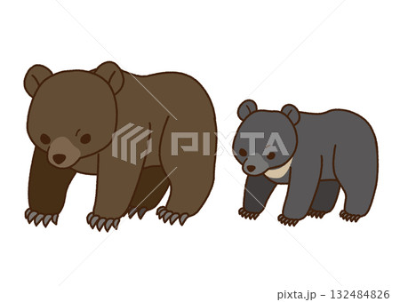 ヒグマとツキノワグマのイラストセット 132484826