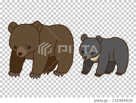 ヒグマとツキノワグマのイラストセット 132484826
