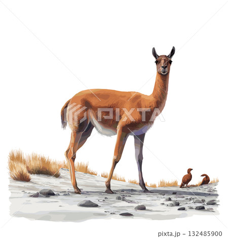 Eduardo Avaroa Andean Fauna National Reserve. Eduardo Avaroa Andean Fauna National Reserve hand drawn watercolor illustration Eduardo Avaroa Andean Fauna National Reserve. Eduardo Avaroa Andean Fauna National Reserve hand drawn watercolor illustration 132485900